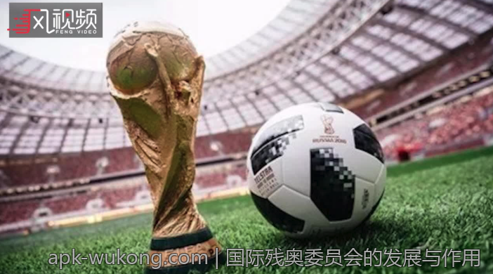 国际残奥委员会的发展与作用